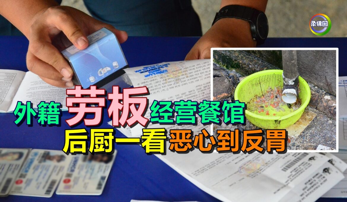 外籍“劳板”经营餐馆  后厨一看  恶心到反胃