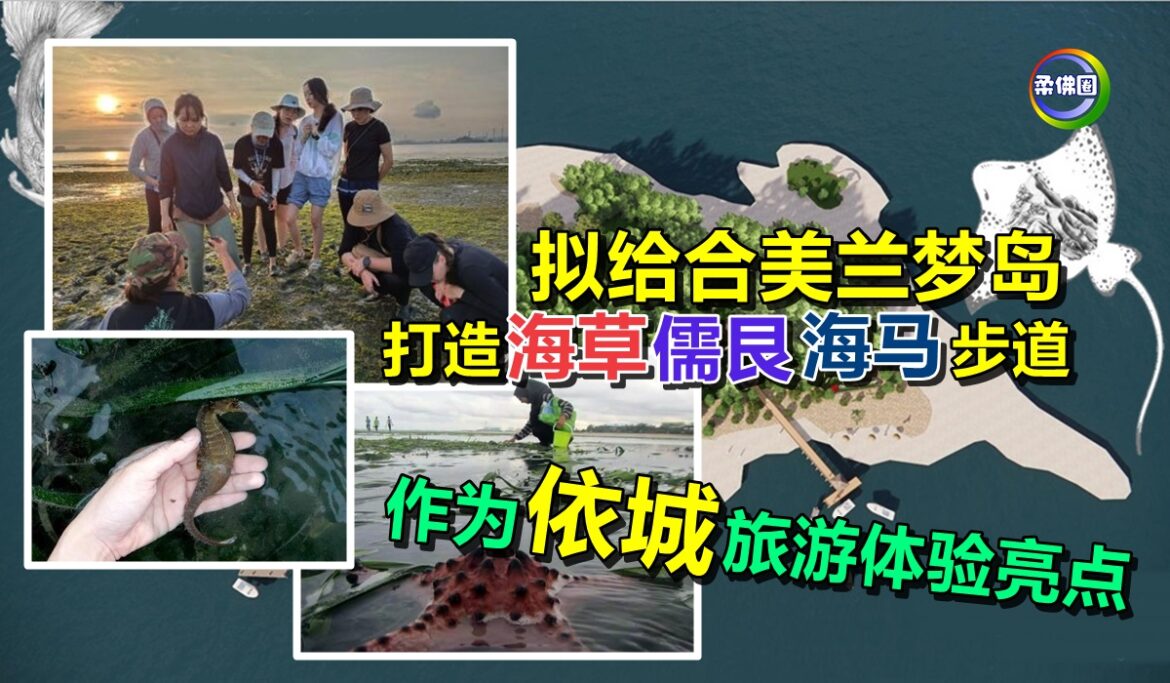 拟给合美兰梦岛  打造  海草‧儒艮‧海马遗产步道  作为旅游体验亮点