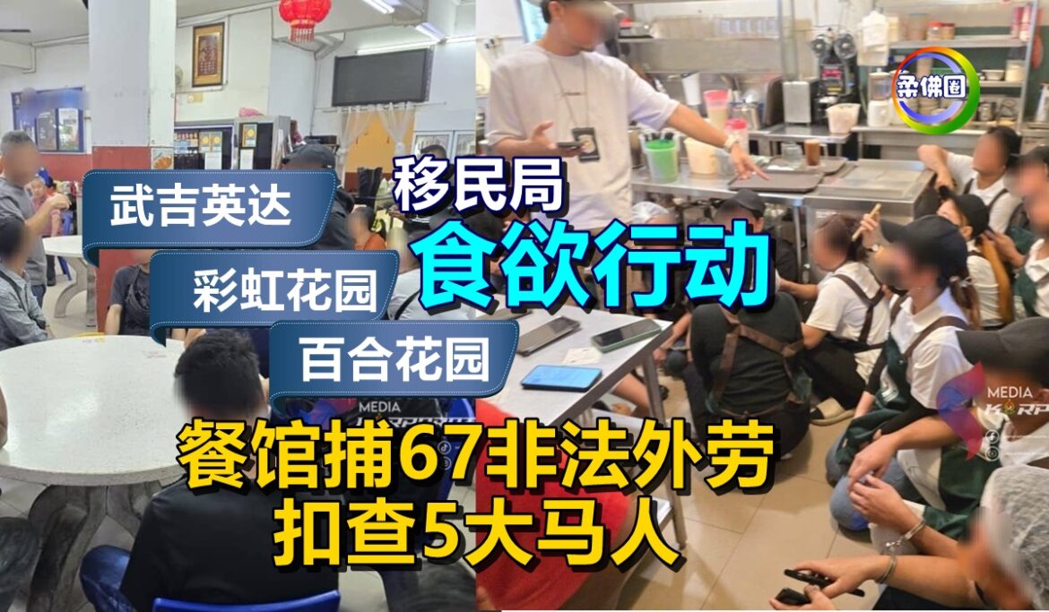 移民局“食欲行动”  武吉英达 彩虹 百合花园餐馆  捕67非法外劳  扣查5大马人