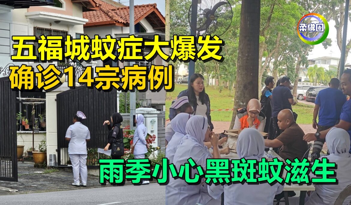 五福城蚊症大爆发  确诊14宗病例   雨季小心黑斑蚊滋生