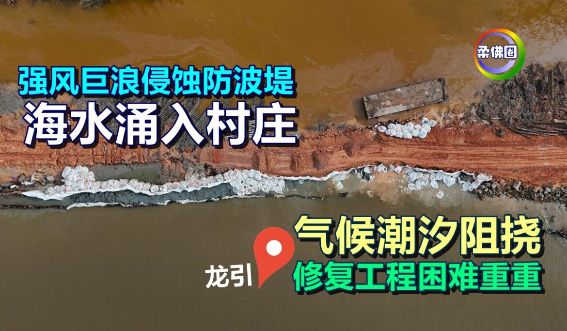 强风巨浪侵蚀防波堤  海水涌入村庄  气候潮汐阻挠  修复工程困难重重
