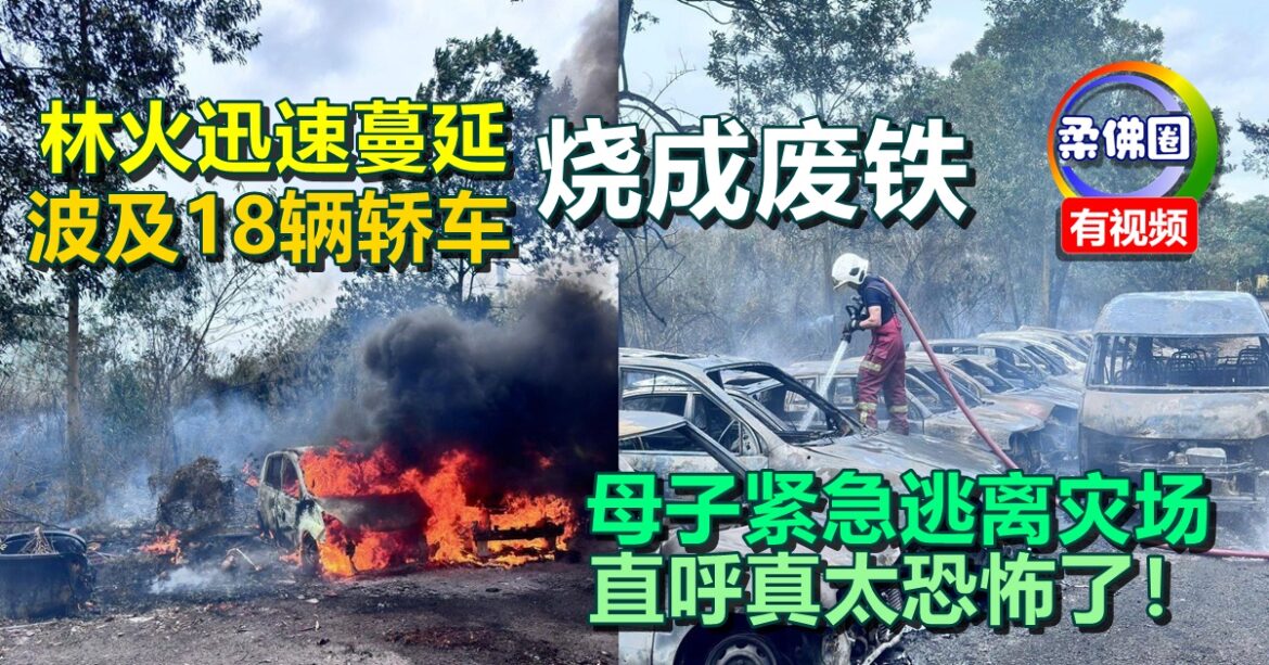 林火迅速蔓延  波及18辆轿车烧成废铁  母子紧急逃离灾场  直呼真太恐怖了！