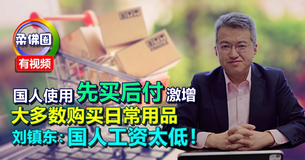 国人使用“先买后付”激增  大多数购买日常用品  刘镇东：国人工资太低！