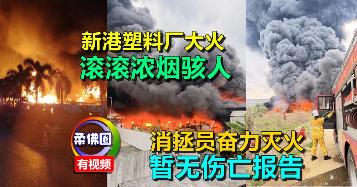新港塑料厂大火  滚滚浓烟骇人  消拯员奋力灭火  暂无伤亡报告