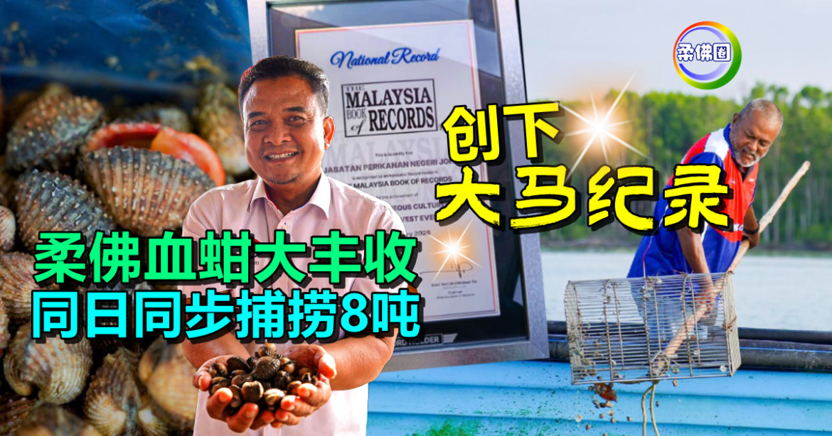 柔佛血蚶大丰收  笨珍.峇株.东甲7地   同日同步捕捞8吨  创下大马纪录