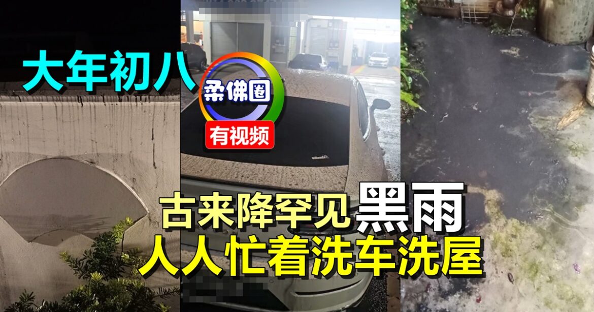 大年初八  古来降罕见黑雨  人人忙着洗车洗屋