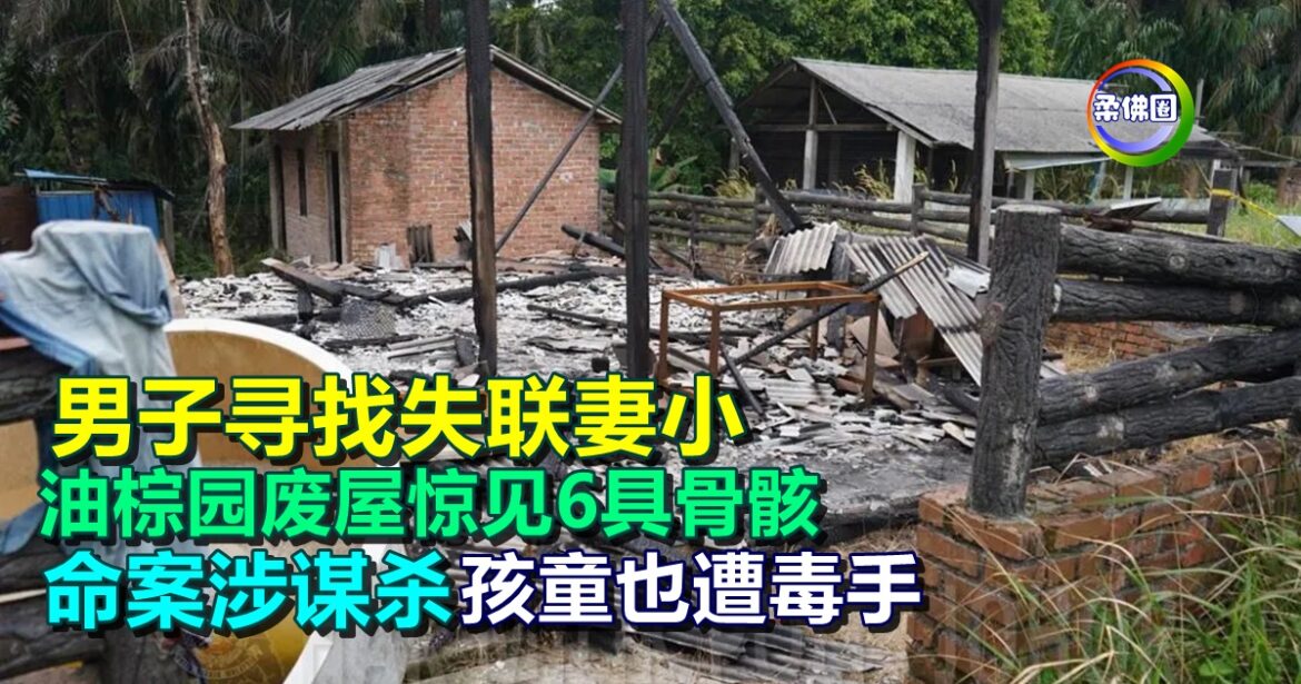 男子寻找失联妻小  油棕园废屋惊见6具骨骸  命案涉谋杀  孩童也遭毒手