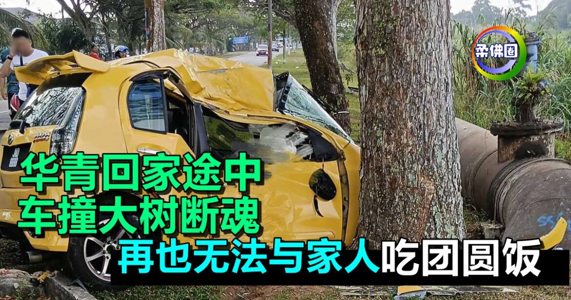 华青回家途中  车撞大树断魂   再也无法与家人吃团圆饭