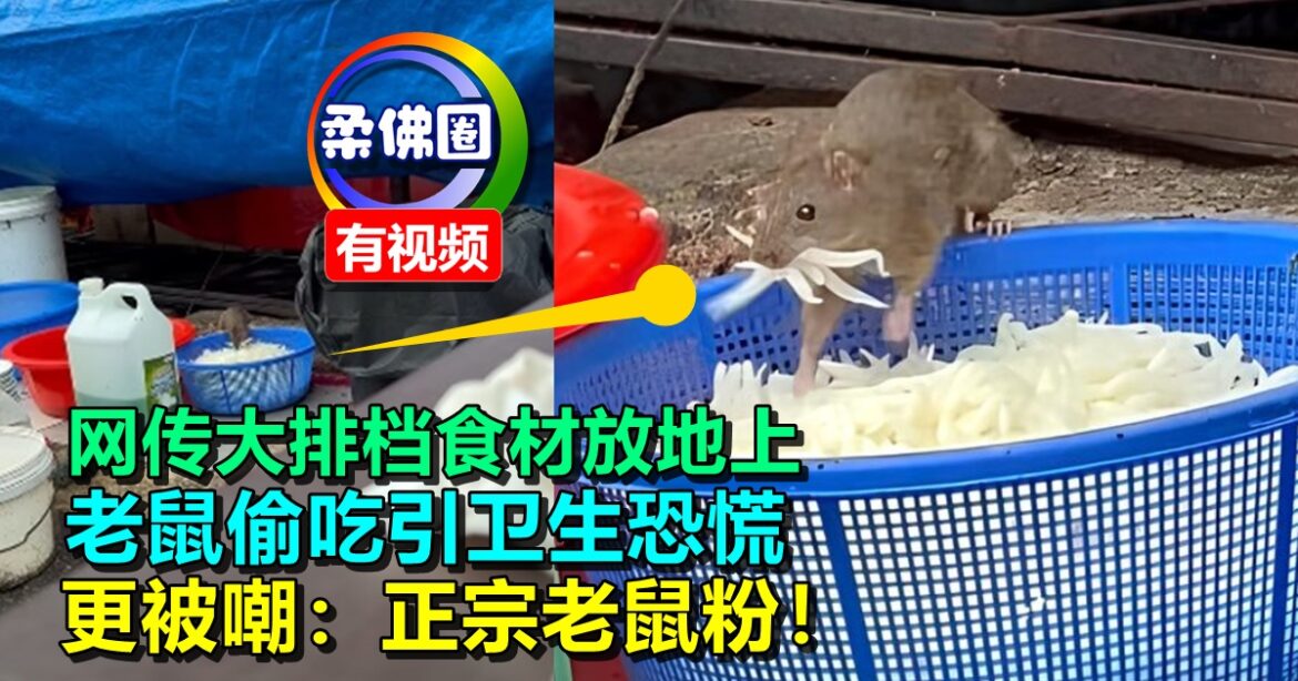 网传大排档食材放地上  老鼠偷吃引卫生恐慌  更被嘲：正宗老鼠粉！