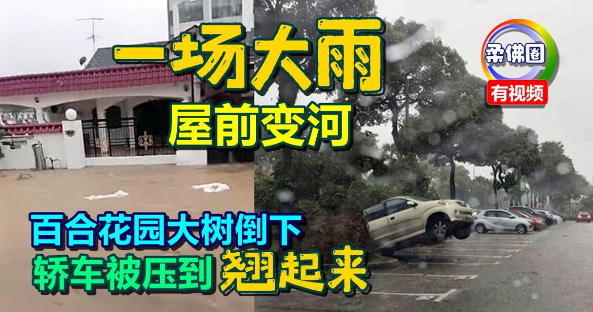 一场大雨  屋前变河   百合花園大树倒下  轿车被壓到“翘起来”