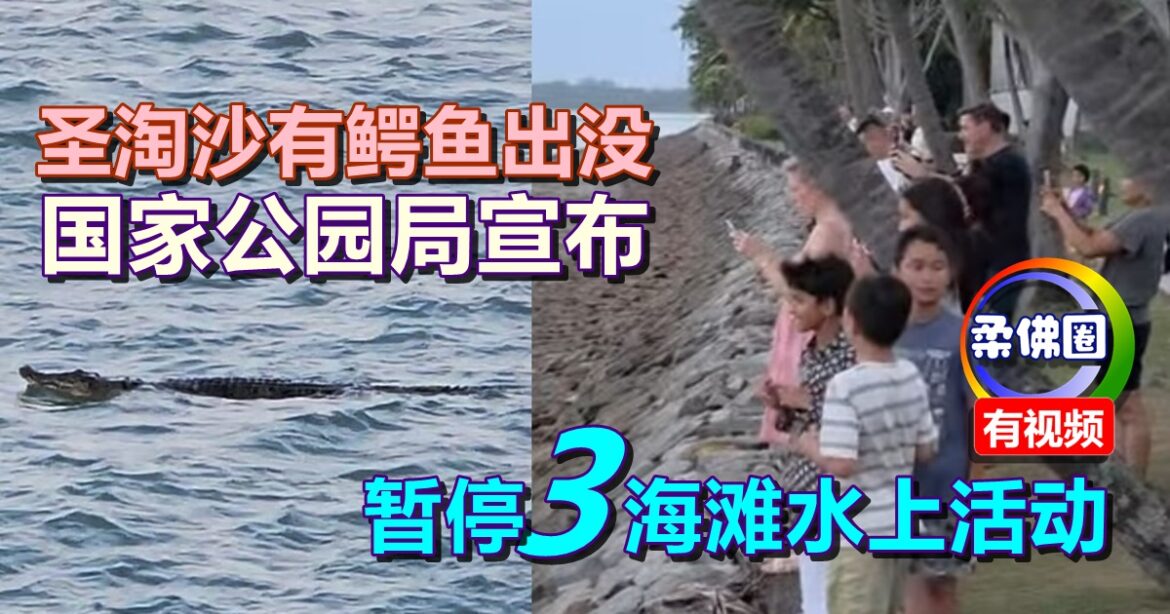 圣淘沙有鳄鱼出没  国家公园局宣布  暂停三海滩水上活动