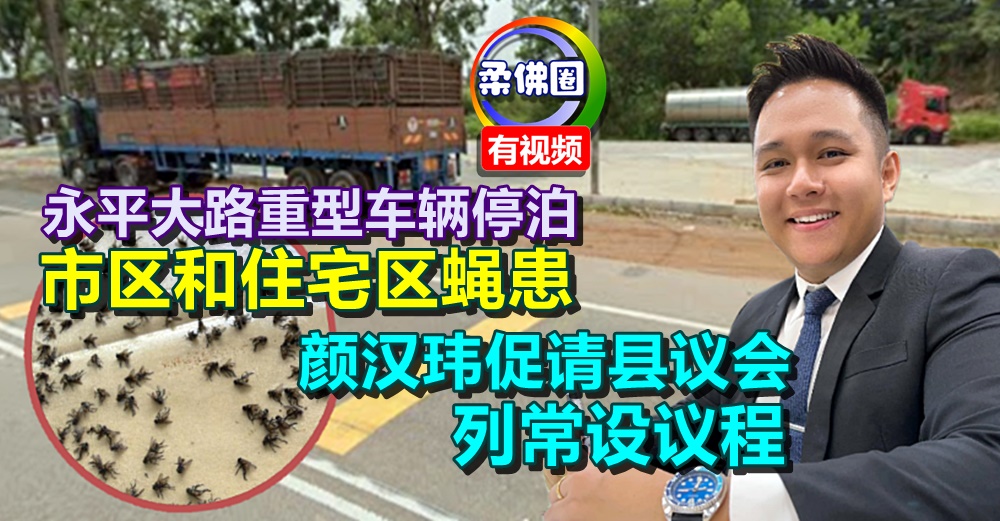 永平大路重型车辆停泊  市区和住宅区蝇患  颜汉玮促请县议会列常设议程