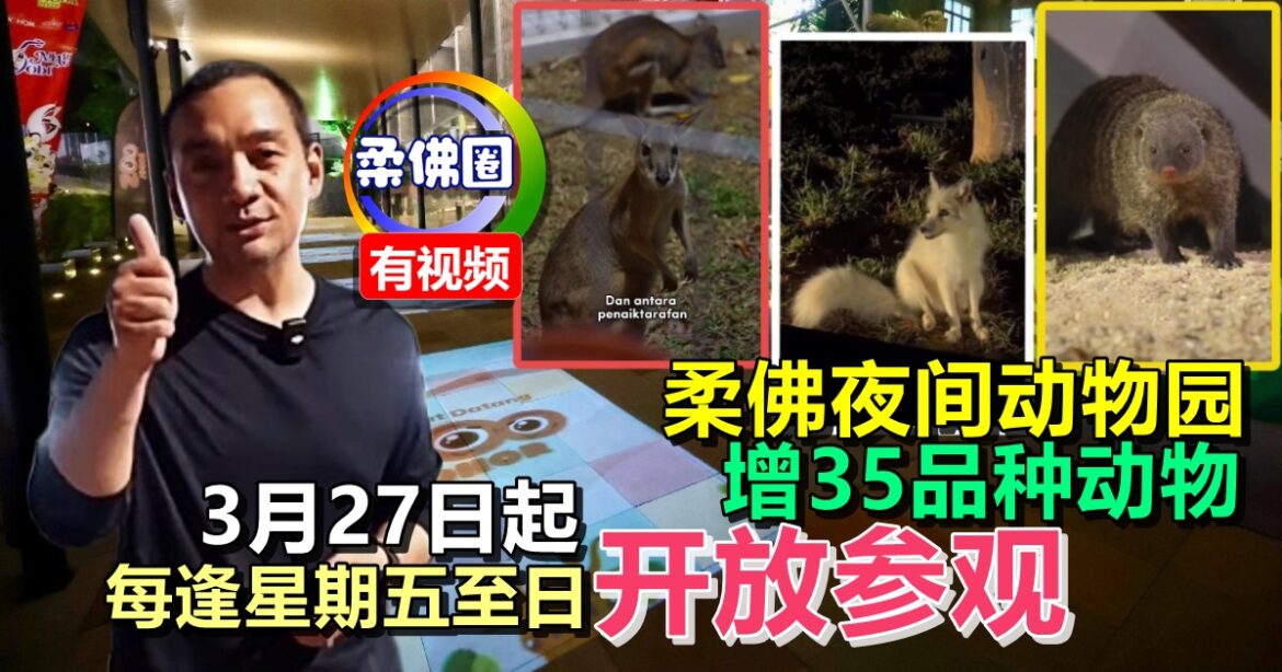 柔佛夜间动物园   增35品种动物  3月27日起  每逢星期五至日开放参观