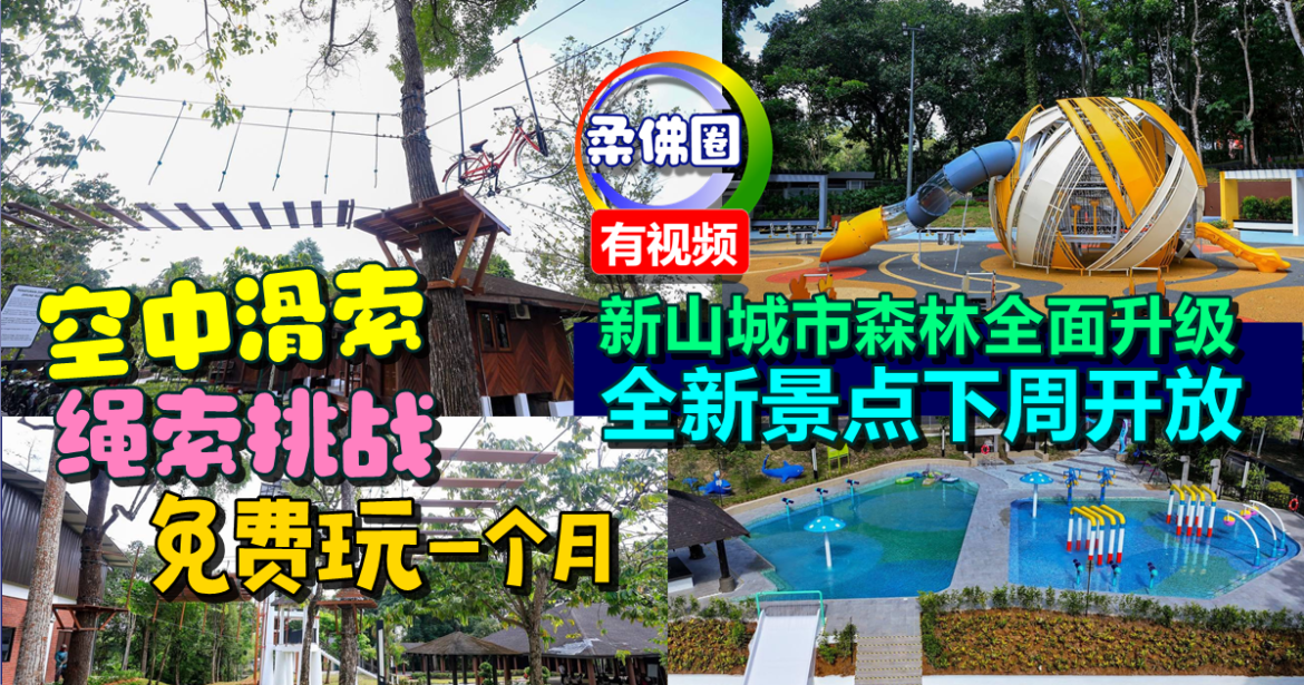 新山城市森林全面升级  全新景点下周开放  空中滑索 绳索挑战免费玩一个月