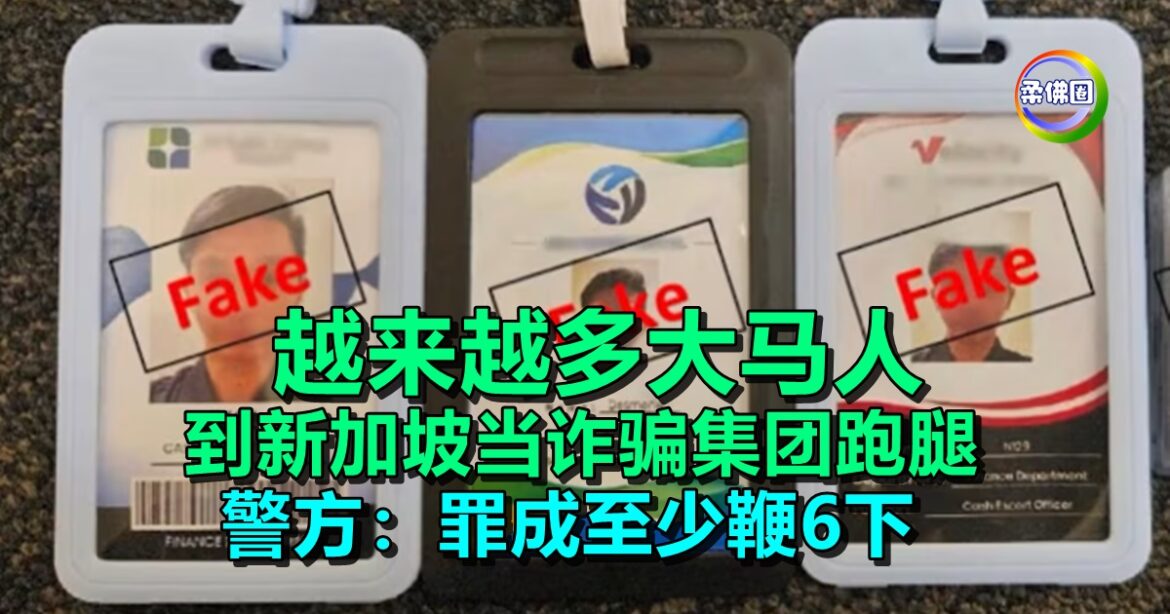 越来越多大马人  到新加坡当诈骗集团跑腿   警方：罪成至少鞭6下