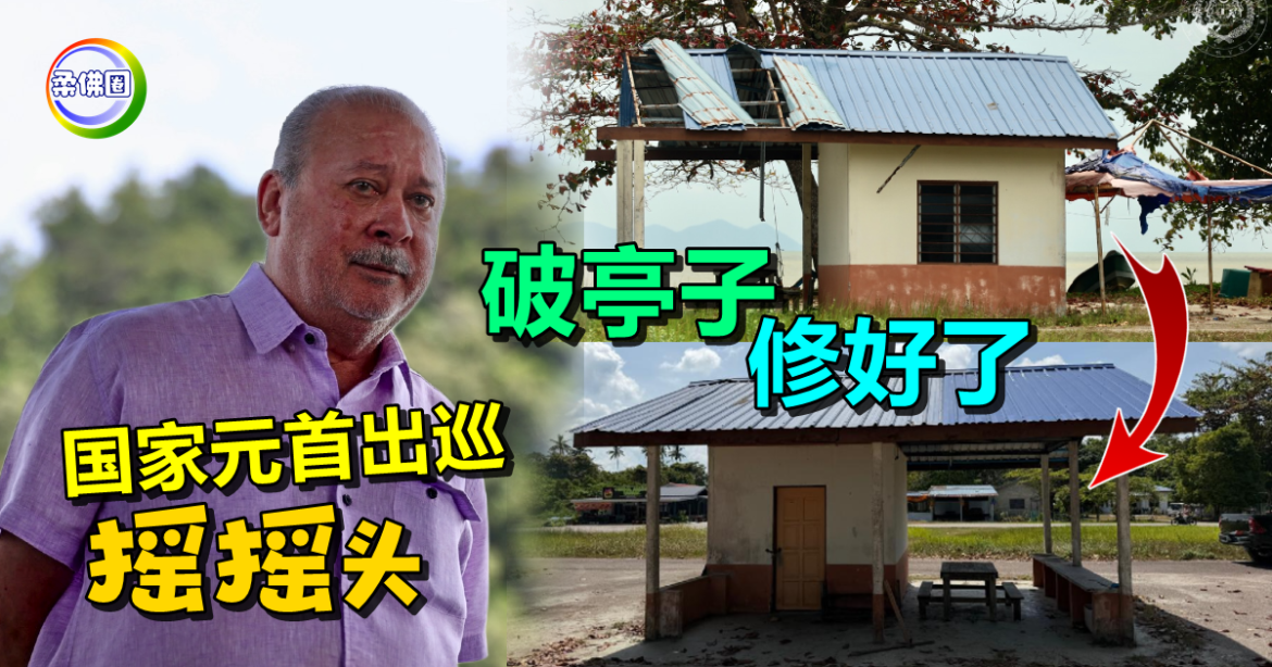 国家元首微服出巡“摇摇头”   渔民社区破损亭子修好了