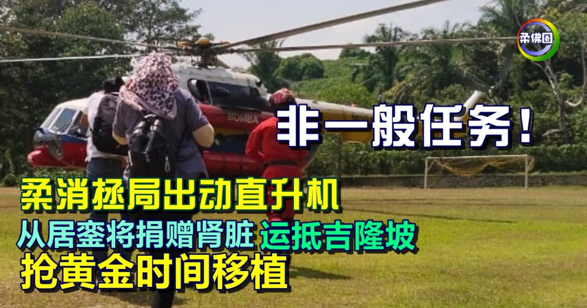 非一般任务！柔消拯局出动直升机  从居銮将捐赠肾脏 运抵吉隆坡 抢黄金时间移植