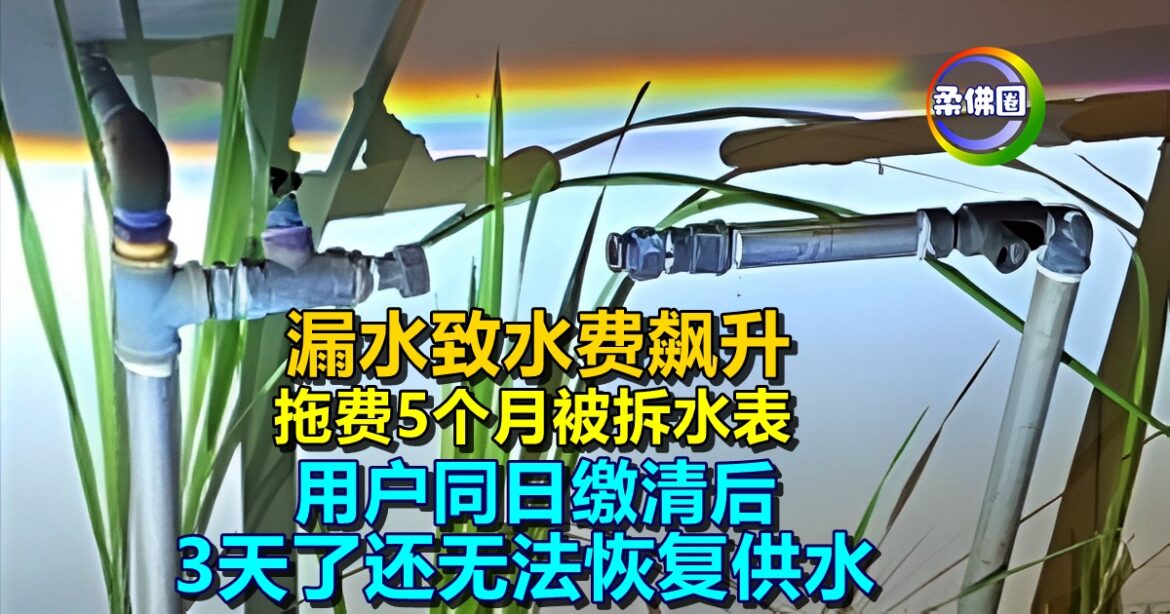 漏水致水费飙升  拖费5个月被拆水表  用户同日缴清后  3天了还无法恢复供水