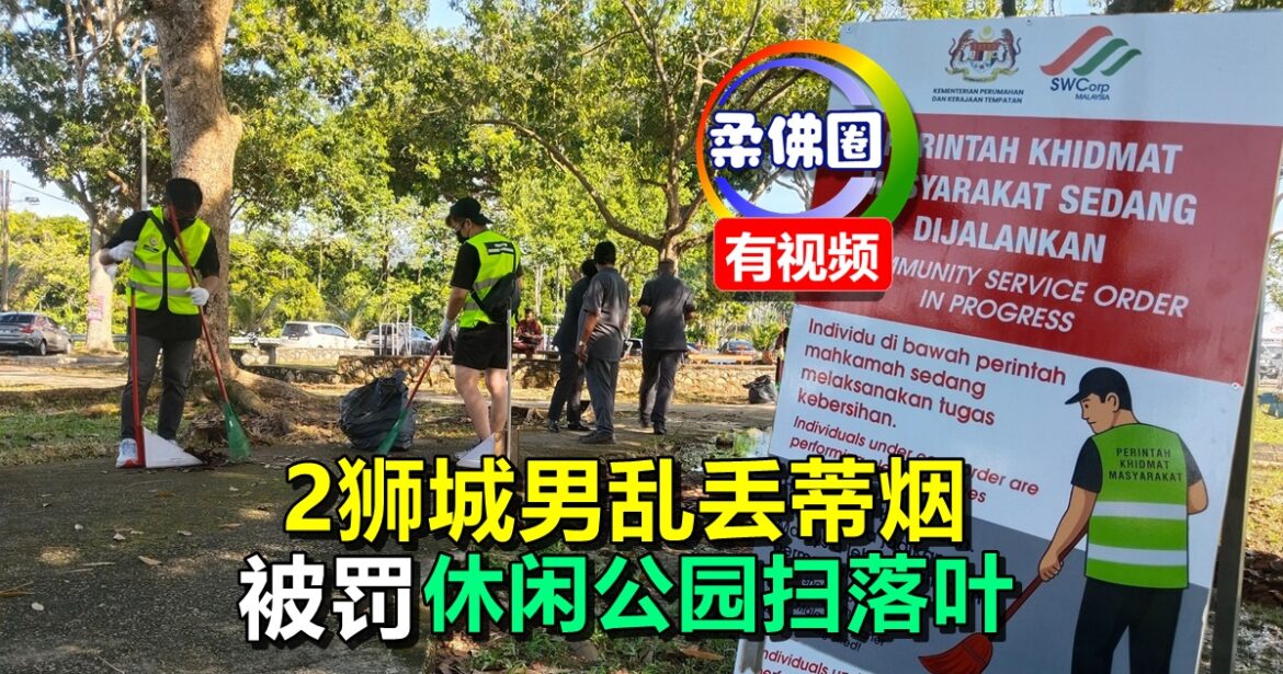 2狮城男乱丢蒂烟  被罚RM1000后  首场社会服务令  休闲公园扫落叶