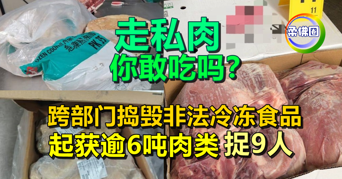 走私肉，你敢吃吗？跨部门捣毁非法冷冻食品  起获逾6吨肉类 捉9人