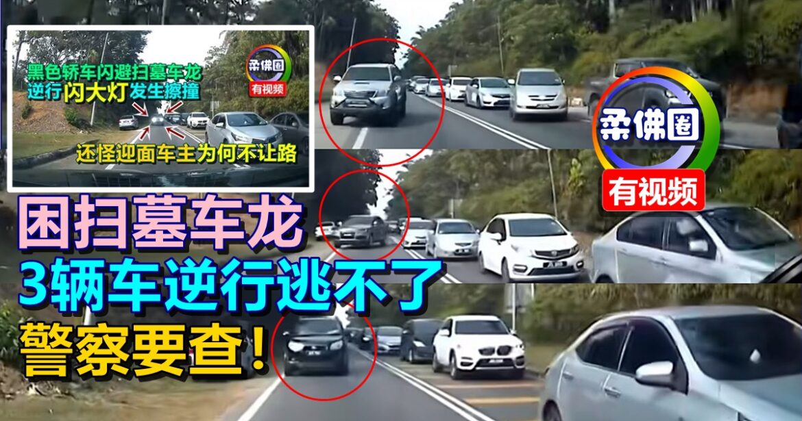 困扫墓车龙  司机闪大灯超车酿祸   3辆车逆行逃不了  警察要查！