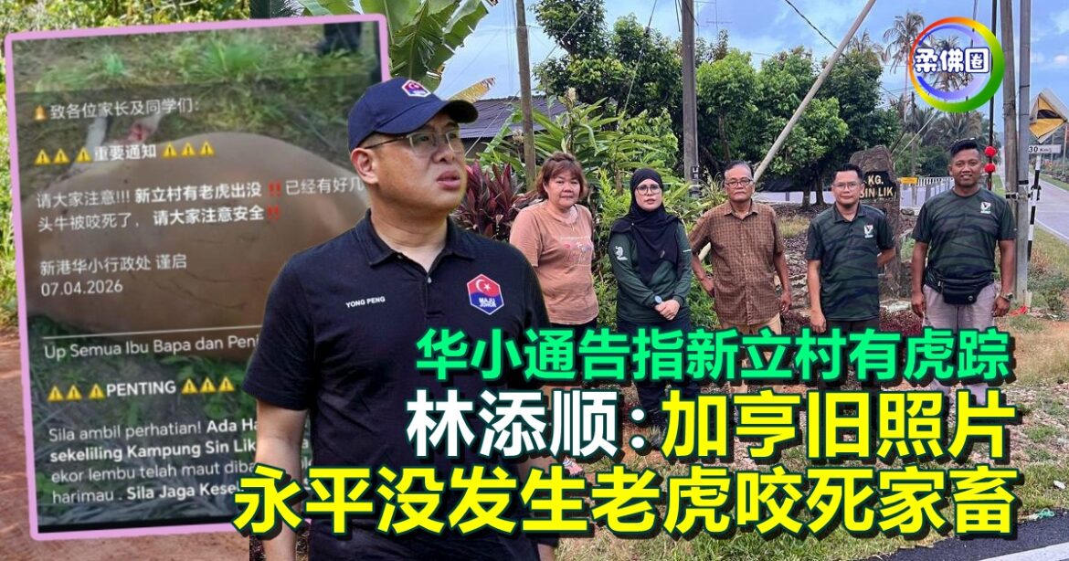华小通告指新立村有虎踪   林添顺：加亨旧照片 永平没发生老虎咬死家畜