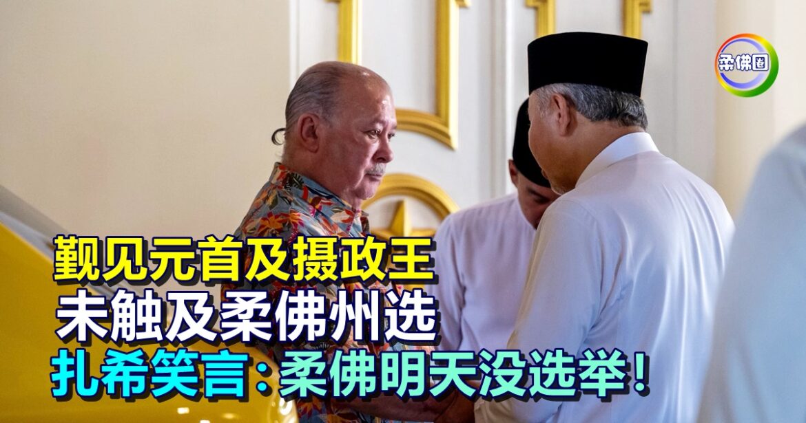 觐见元首及摄政王  未触及柔佛州选  扎希笑言：柔佛明天没选举！