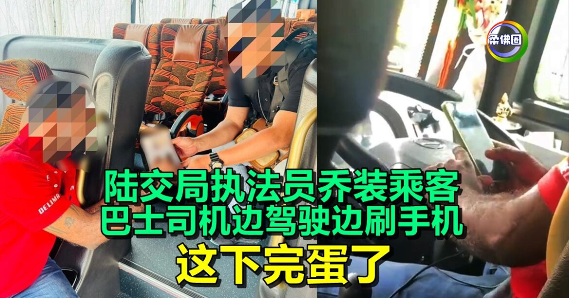 陆交局执法员乔装乘客  巴士司机边驾驶边刷手机  这下完蛋了