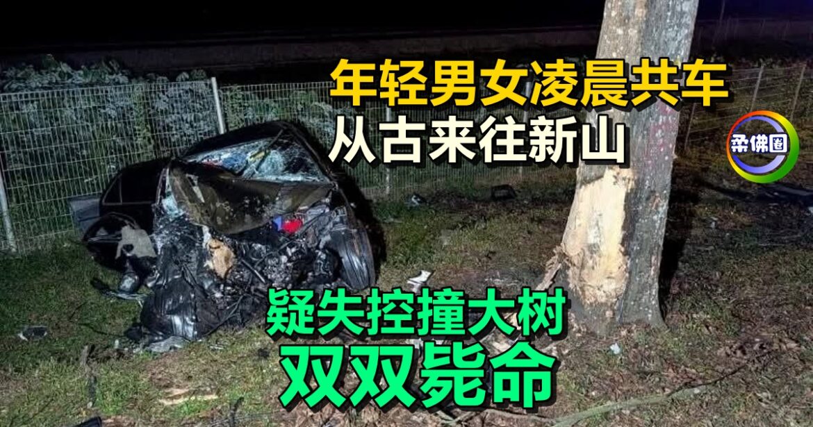 年轻男女凌晨共车  从古来前往新山  疑失控撞大树   双双毙命