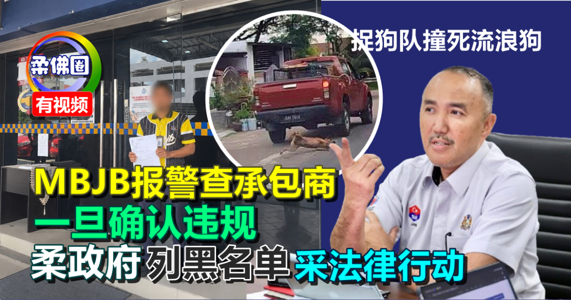 捉狗队撞死流浪狗｜MBJB报警查承包商   一旦确认违规  柔政府列黑名单采法律行动