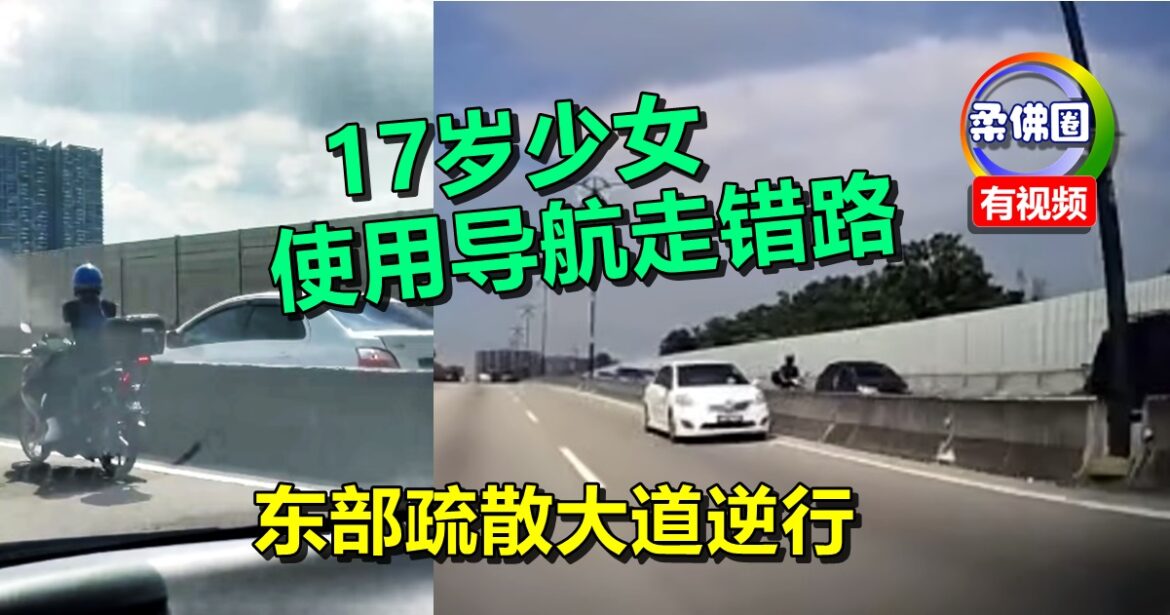 17岁少女使用导航走错路   东部疏散大道逆行  吓坏公路使用者