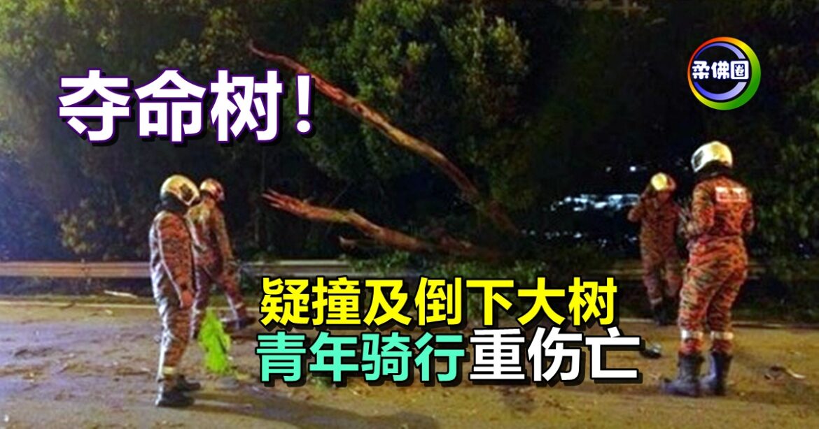 夺命树！疑撞及倒下大树  青年骑行重伤亡