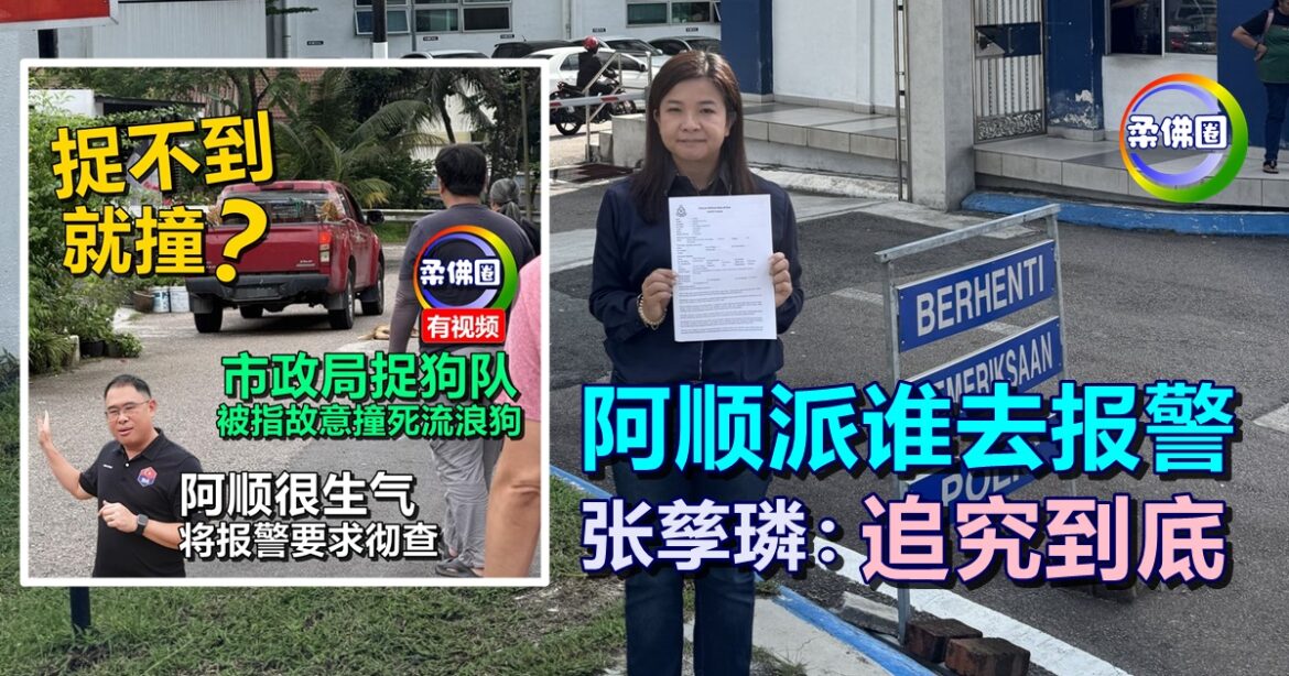 疑捉狗队撞死流狼狗事件  市议员张孳璘已报警   “十分残忍““追究到底”