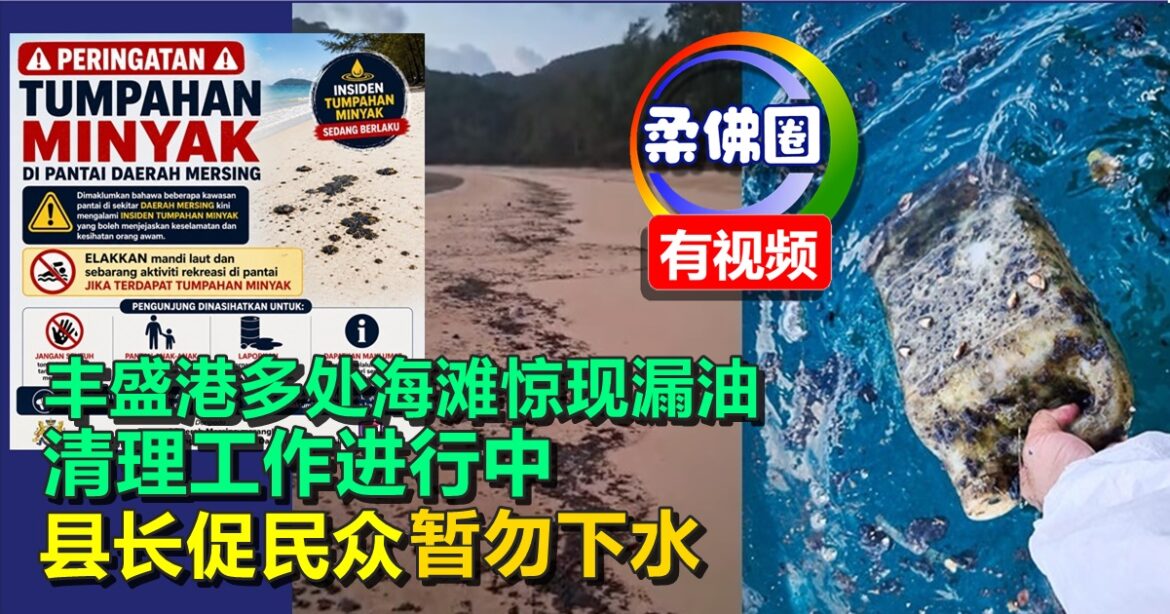 丰盛港多处海滩惊现漏油  清理工作进行中  县长促民众暂勿下水