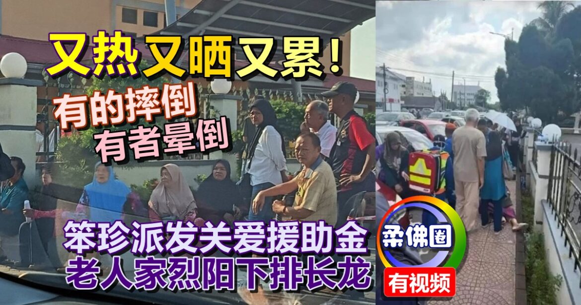 又热又晒又累！笨珍派发关爱援助金  老人家烈阳下排长龙  有者晕倒有的摔倒