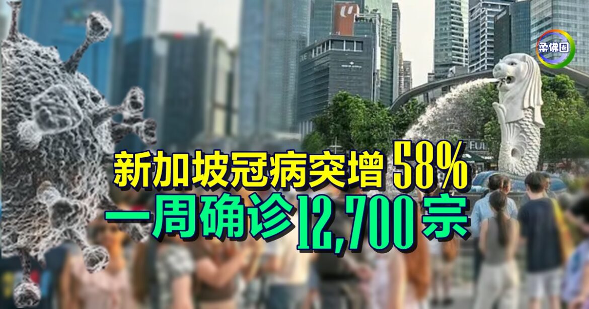 新加坡冠病突增58%   一周确诊1万2700宗  学校假期来临  保重身体