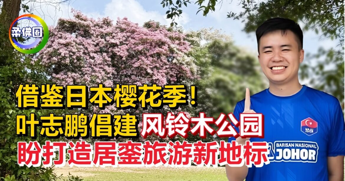 借鉴日本樱花季！叶志鹏倡建“风铃木公园”   盼打造居銮旅游新地标