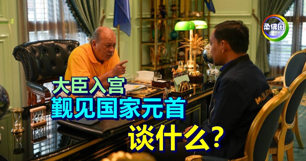 大臣入宫觐见国家元首  神情严厉  谈什么？