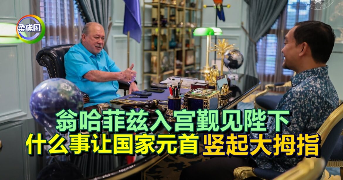 翁哈菲兹入宫觐见陛下  什么事让国家元首竖起大拇指