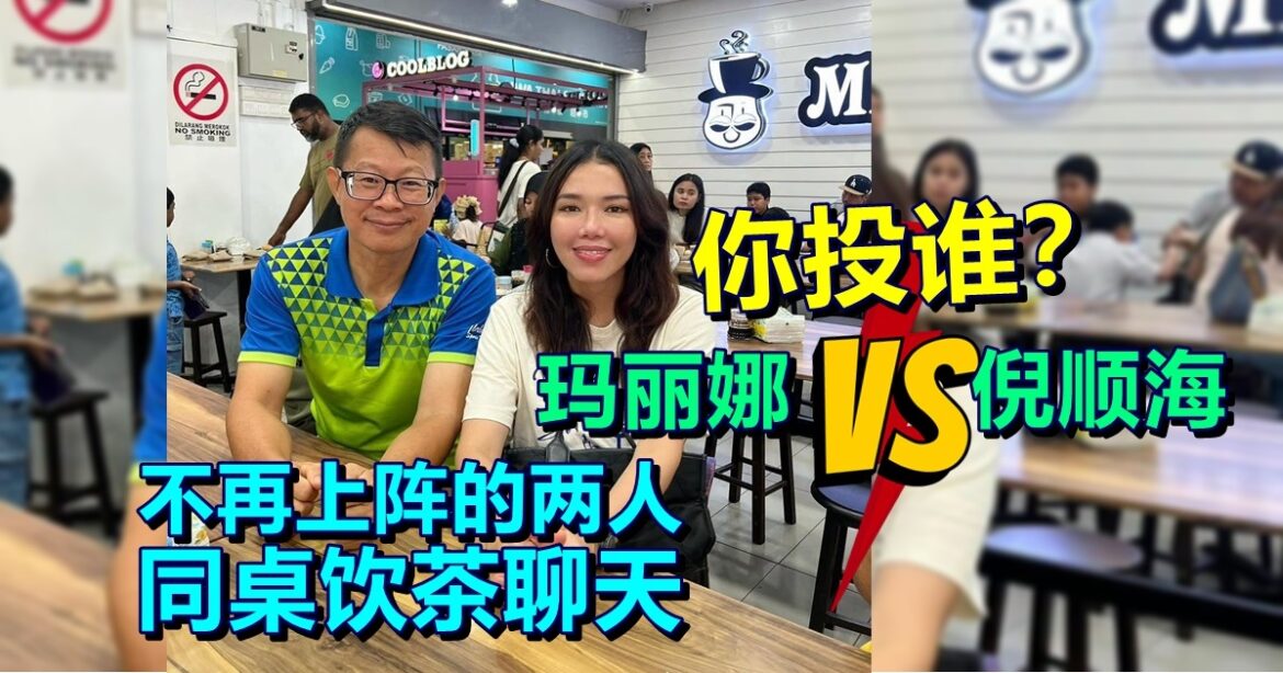 玛丽娜对垒倪顺海  你会投票给谁？不再上阵的两人  同桌饮茶聊天