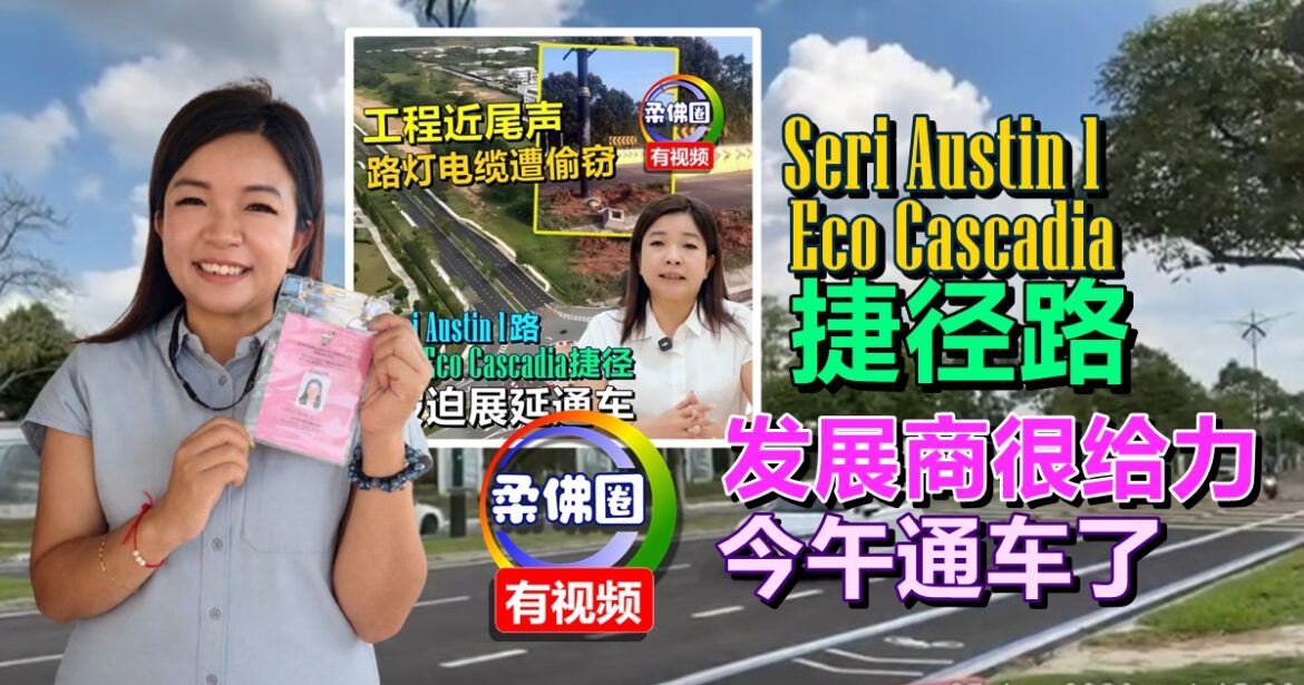 发展商很给力  Eco Cascadia与Seri Austin 1 捷径路   今午通车了