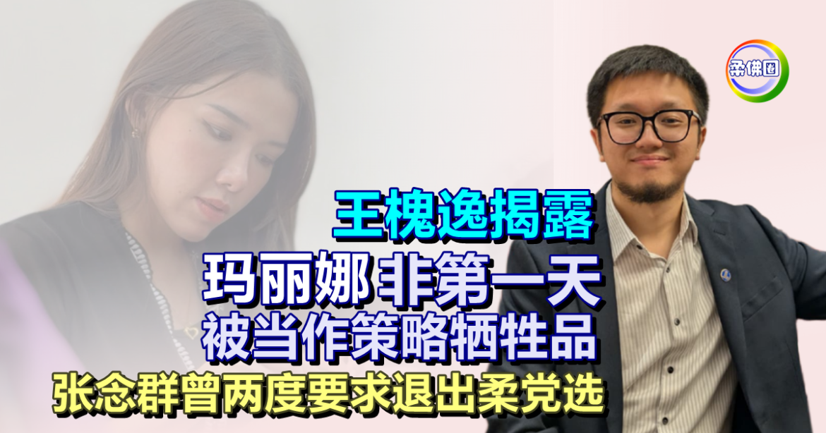 王槐逸揭露  玛丽娜非第一天被当作策略牺牲品  张念群曾两度要求退出柔党选