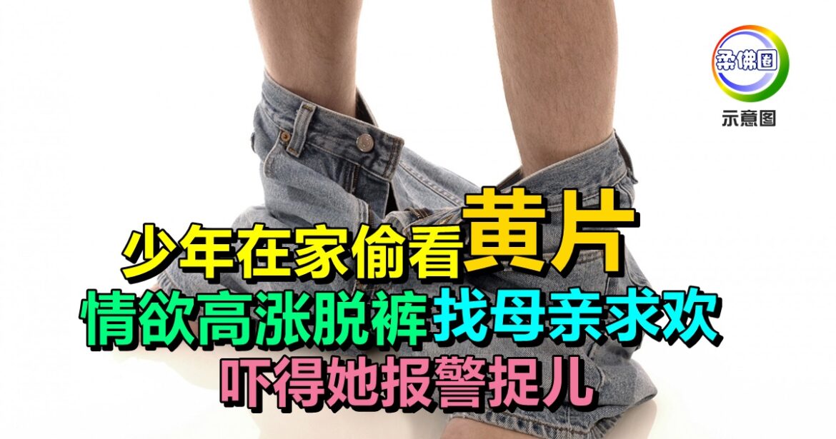少年在家偷看“黄片”  情欲高涨脱裤  找母亲求欢  吓得她报警捉儿