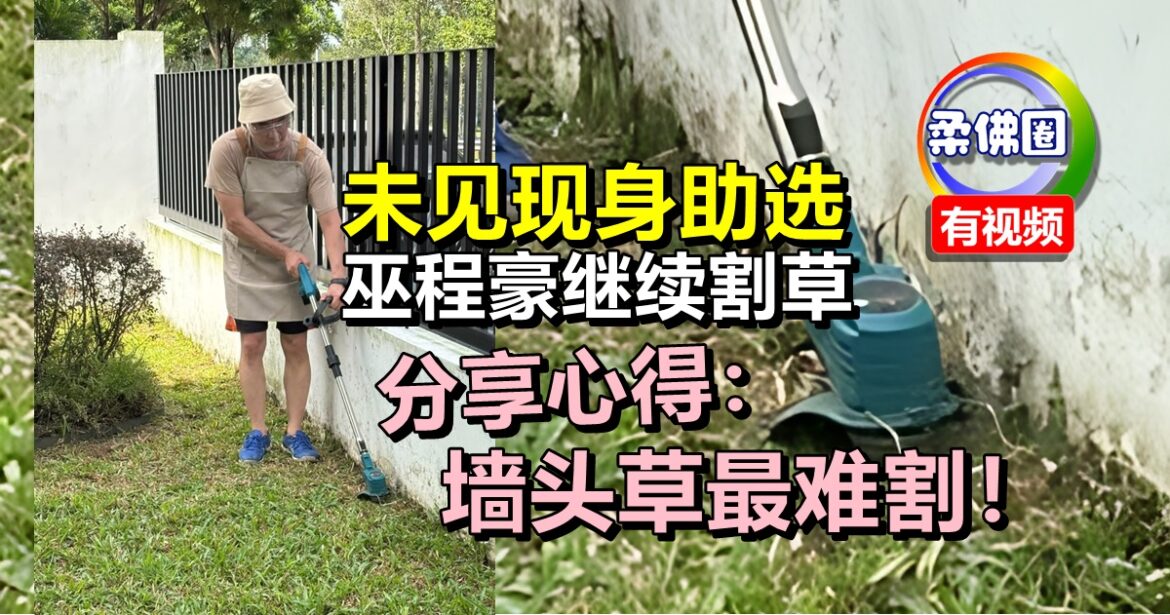 未见现身助选  巫程豪继续割草  分享心得：墙头草最难割！