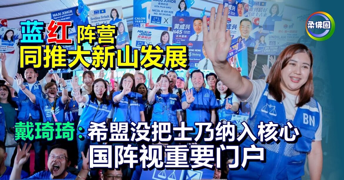 蓝红阵营同推大新山发展  戴琦琦：希盟没把士乃纳入核心  国阵视重要门户