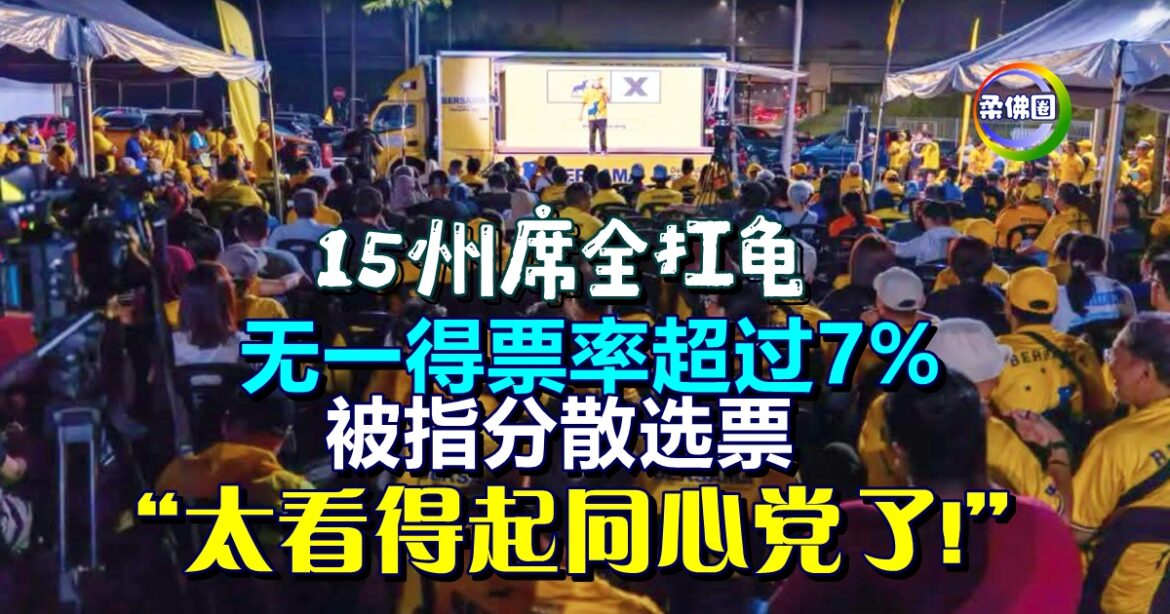 15州席全扛龟  无一得票率超过7%  被指分散选票  “太看得起同心党了!”