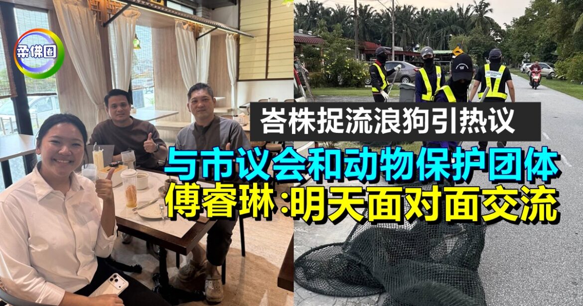 峇株捉流浪狗引热议  傅睿琳：与市议会和动物保护团体  明天面对面交流