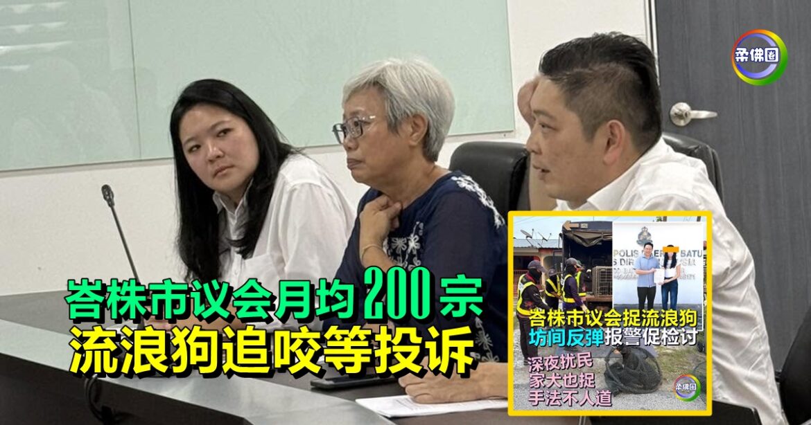峇株市议会月均200宗  流浪狗追咬等投诉  动物福利与居民安全 须社会共同面对