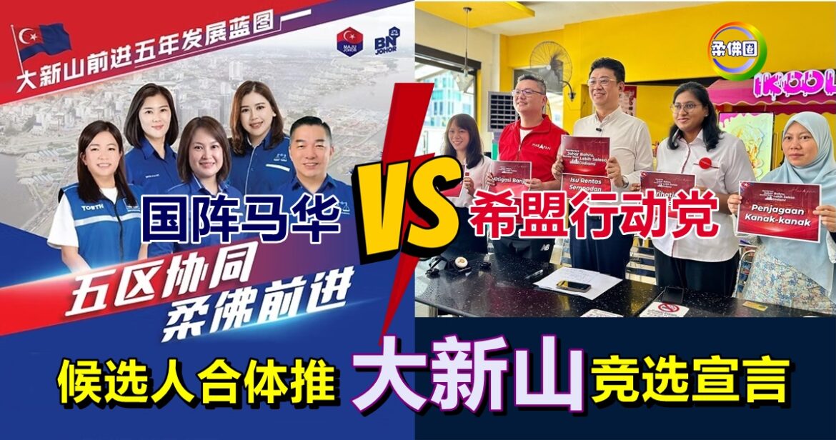 国阵马华 VS 希盟行动党  候选人合体推“大新山”竞选宣言  看一看比一比！