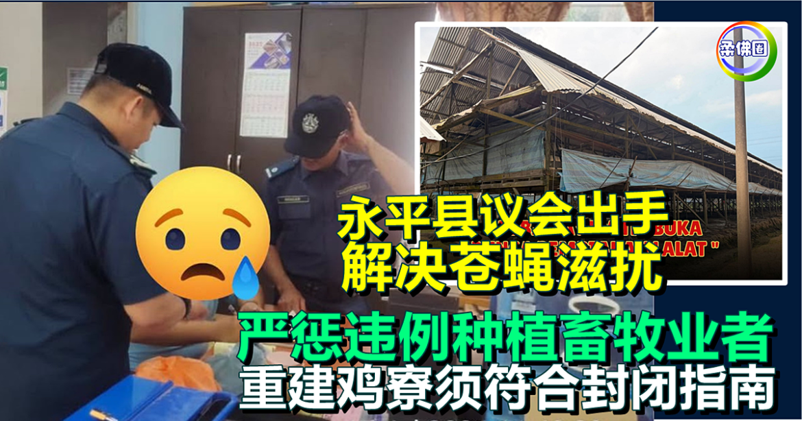 永平县议会出手解决苍蝇滋扰  严惩违例种植畜牧业者  重建鸡寮须符合封闭指南